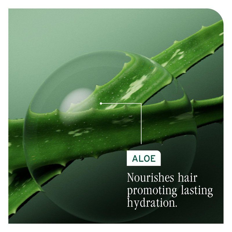 Biolage Hydra Source Shampoo & Conditioning Balm | Hydrates & Moisturizes Dry Hair | Helps Repair Split Ends | For Dry Hair | Salon Shampoo | Weightless, Soft Finish | Vegan | Paraben & Cruelty-Free